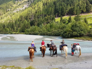 Wanderritt in den Bergen, mehrere Pferde stehen am Fluß