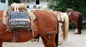 Grundkurs Säumen, wandern mit Packpferden