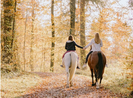 Das Foto zeigt zwei Mädchen von hinten, die auf ihren Pferden im Herbst durch den Wald reiten.