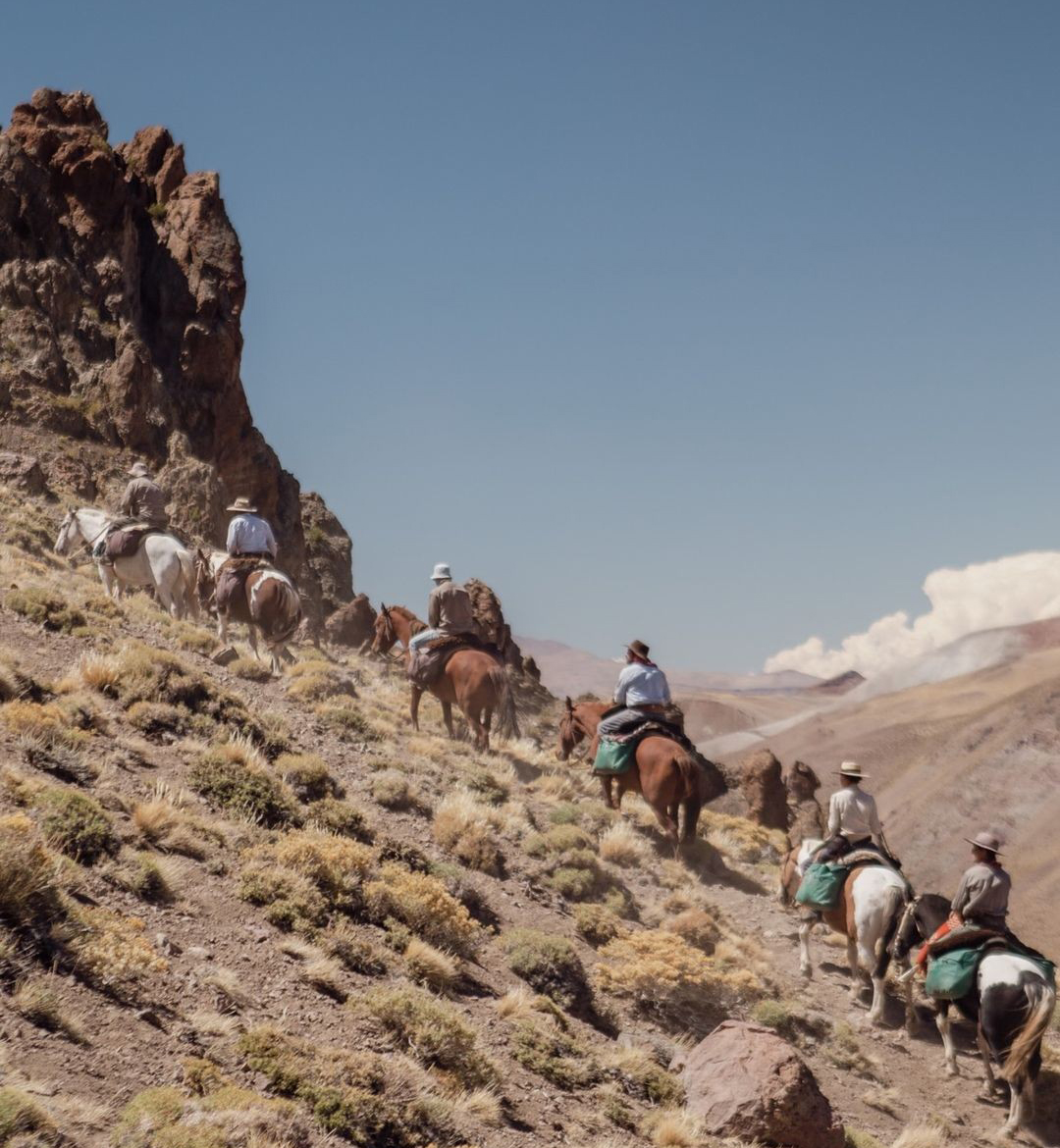 Das Foto zeigt eine Gruppe Wanderreiter in auf ihren Pferden, in den argentinischen Anden.